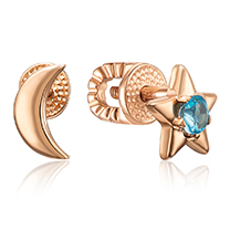 Гвоздики/Пусети